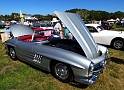 Marin-Sonoma-Concours_087