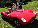 Marin-Sonoma-Concours_089