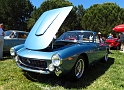 Marin-Sonoma-Concours_091