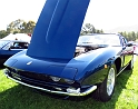 Marin-Sonoma-Concours_096