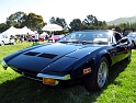 Marin-Sonoma-Concours_100