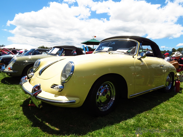 046_Porsche-Concours.JPG