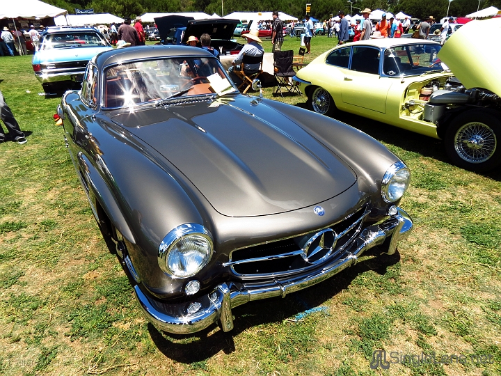 065_Mercedes-Benz-Concours.JPG