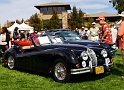 231-Jaguar-club