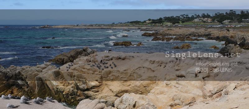 SingleLens-Monterey