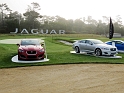 351_Jaguar-display