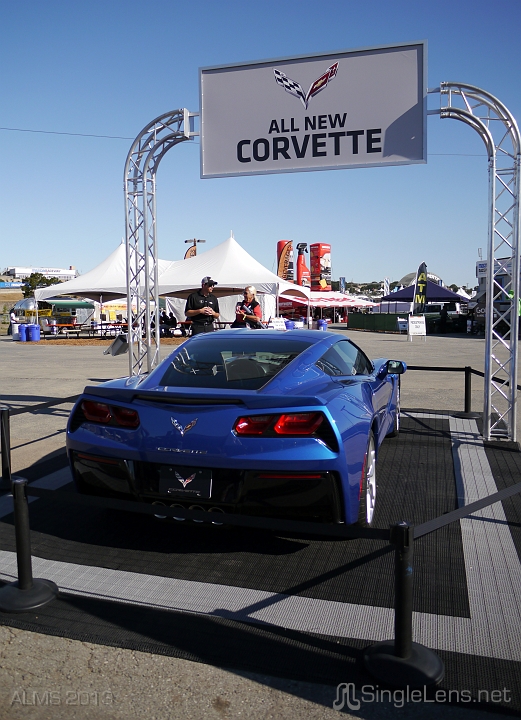 ALMS-158-2014-Corvette.JPG