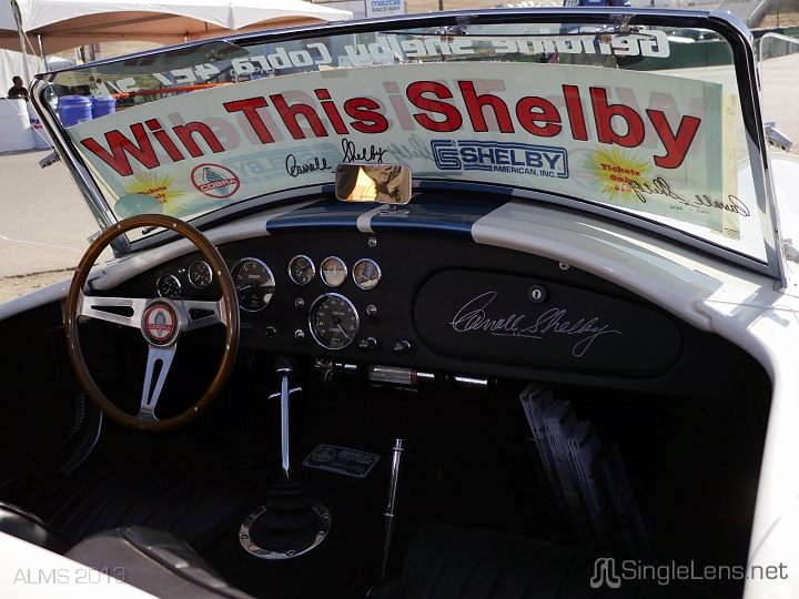 ALMS-164-win-this-Shelby.JPG