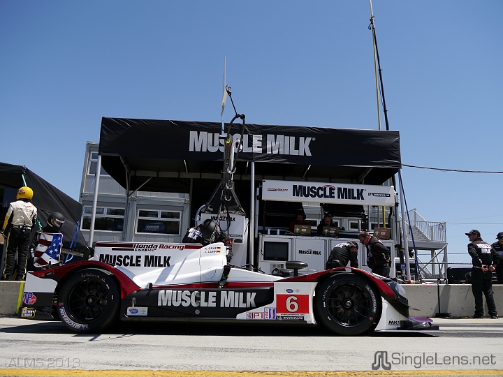 ALMS-239-Muscle-Milk-Pickett-Racing.JPG