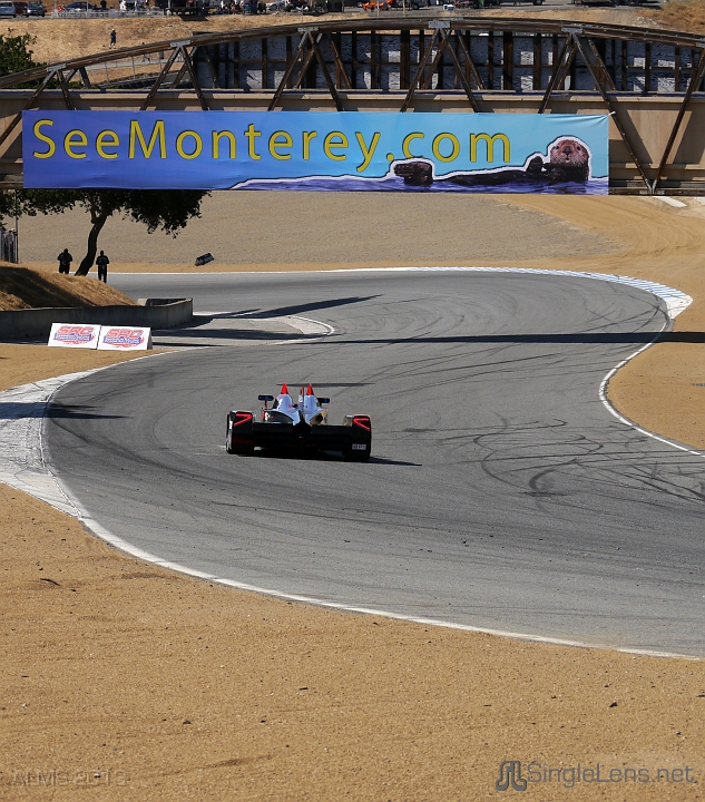 ALMS-314-DeltaWing-Racing-Cars.JPG