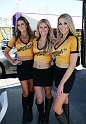 ALMS-053-Continental-Tire-models