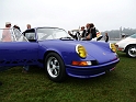 209-Dalmatian-Blue-911-RS