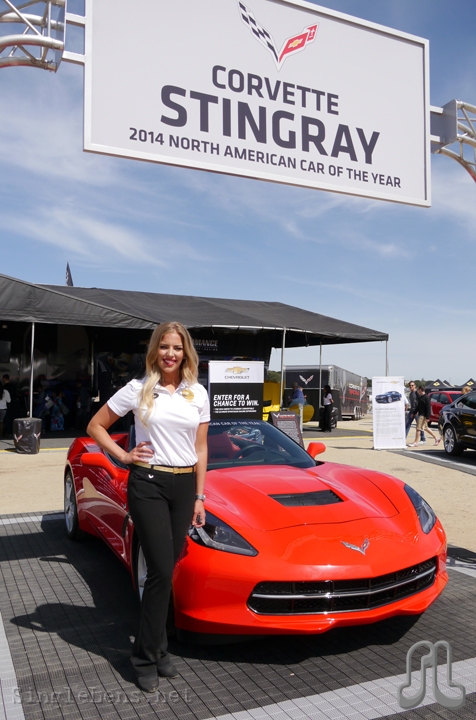 201-new-Corvette-Stingray.JPG