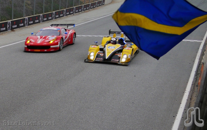 269-JDC-Miller-Motorsports-Mikhail-Goikhberg-Zach-Veach.JPG