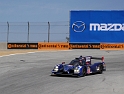 038-Michael-Shank-Racing-Curb-Honda