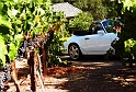 017_Porsche-winery_0158