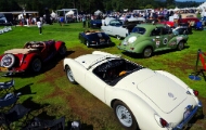 004-The-Quail-A-Motorsports-Gathering