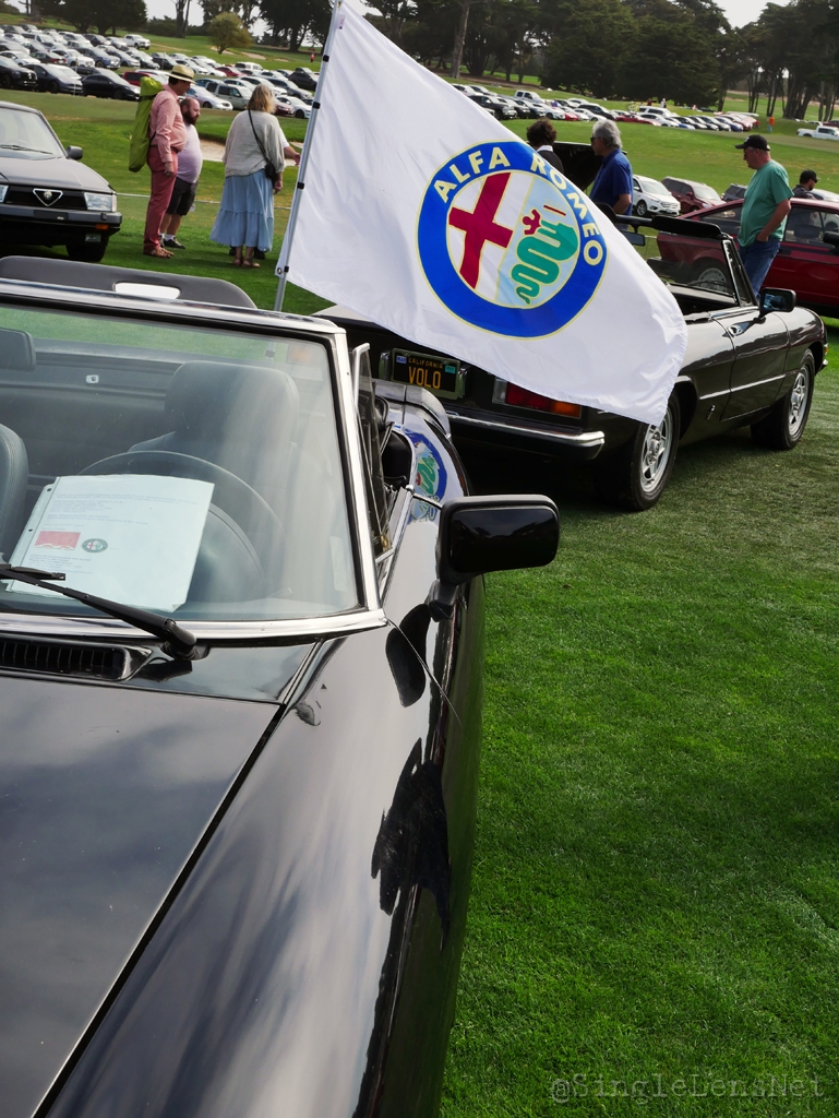 030-Alfa-Romeo-Owners-Club.jpg