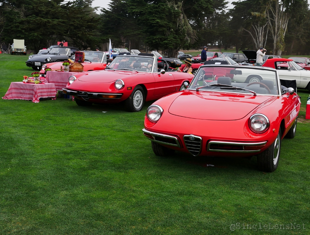 096-Alfa-Romeo-Owners-Club.jpg