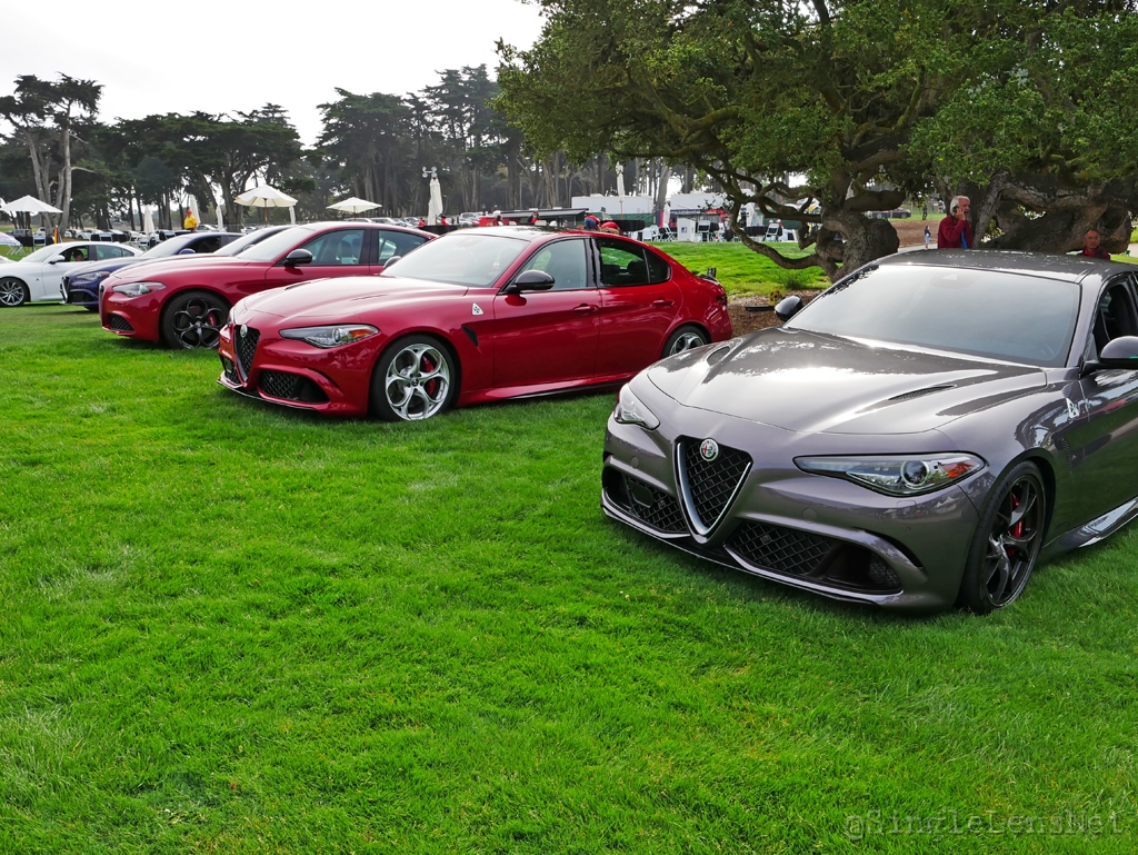 110-Alfa-Romeo-Owners-Club.jpg