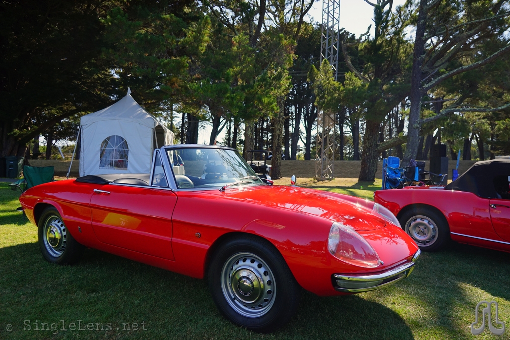 075-Alfa-Romeo-Owners-Club.jpg