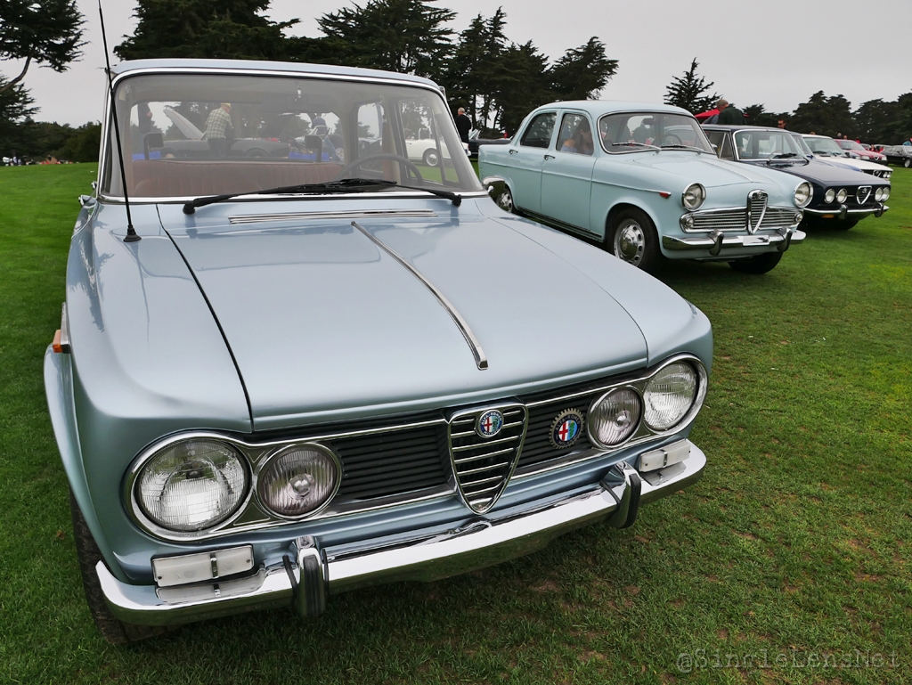 215-Alfa-Romeo-Owners-Club.jpg