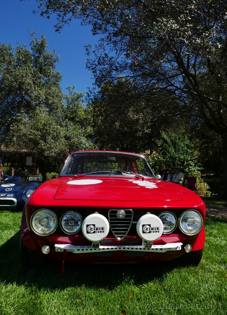 015-1969-Alfa-Romeo-1750-GTV-Steve-Semenzato.jpg