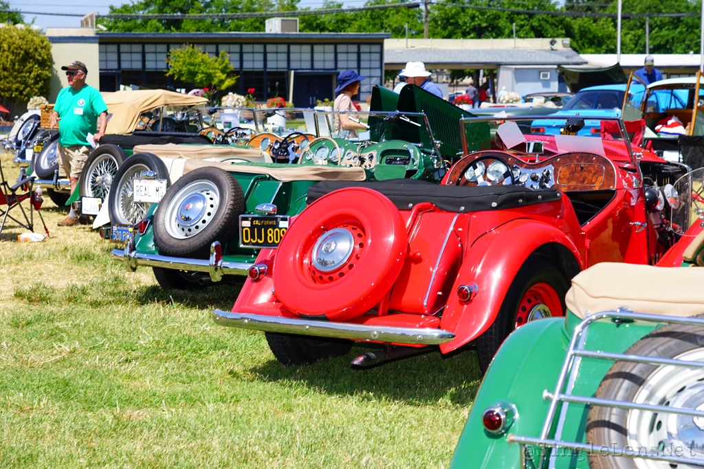 073-British-Car-Show-Dixon.jpg