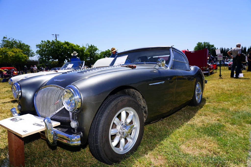 080-British-Car-Show-Dixon.jpg