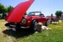 114-British-Car-Show-Dixon