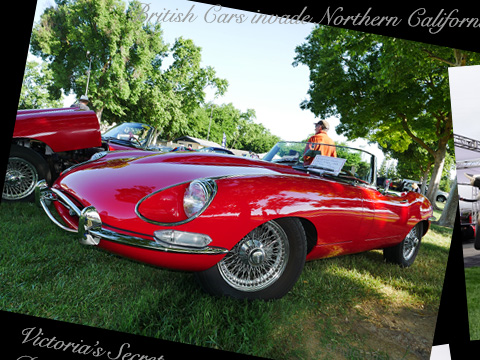 Jaguar-Clubs-of-North-America