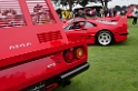 046-Ferrari-collector-David-Lee