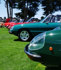 016-Alfa-Romeo-Owners-Club