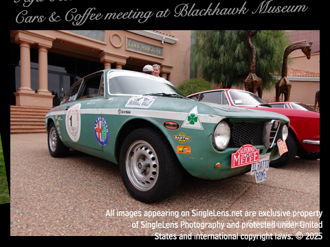 Alfa-Romeo-Owners-Club