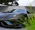 066-Best-pic-Quail-Motorsports-Gathering